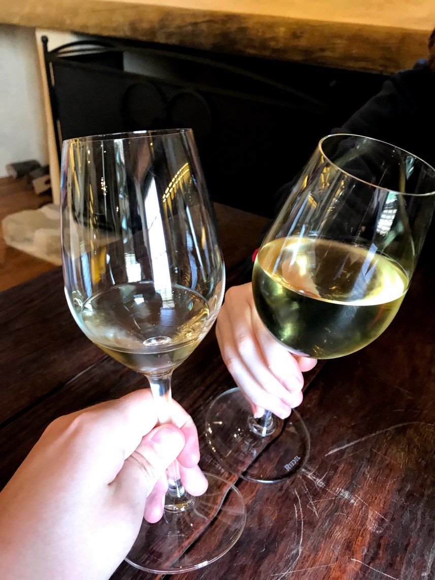 Dégustation des vins du domaine