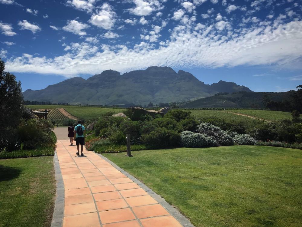 Vue du domaine Glenelly 
