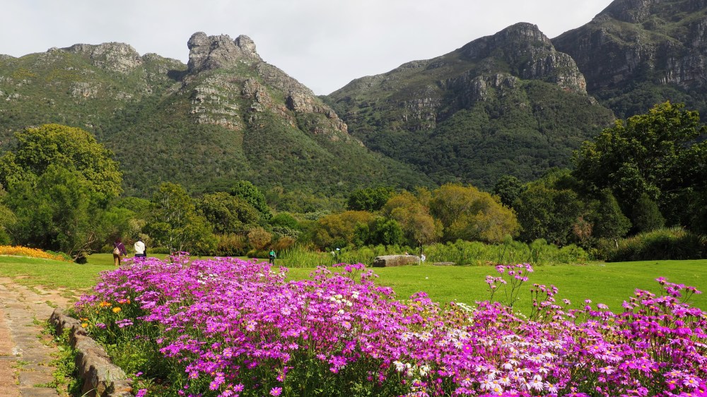 kirstenbosch national botanical garden